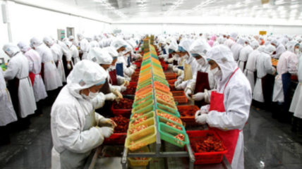 德炎水產(chǎn)食品股份有限公司簡介